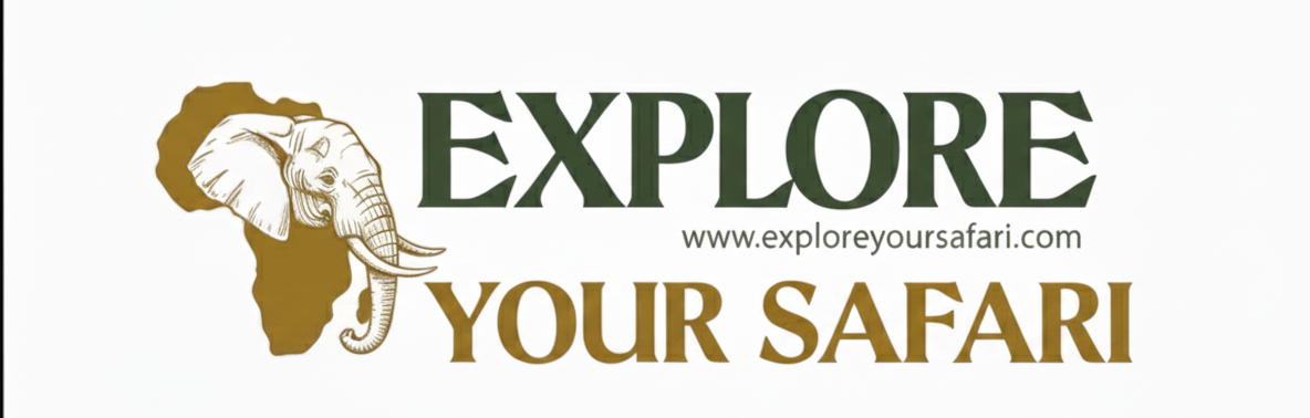 Explore Your Safari