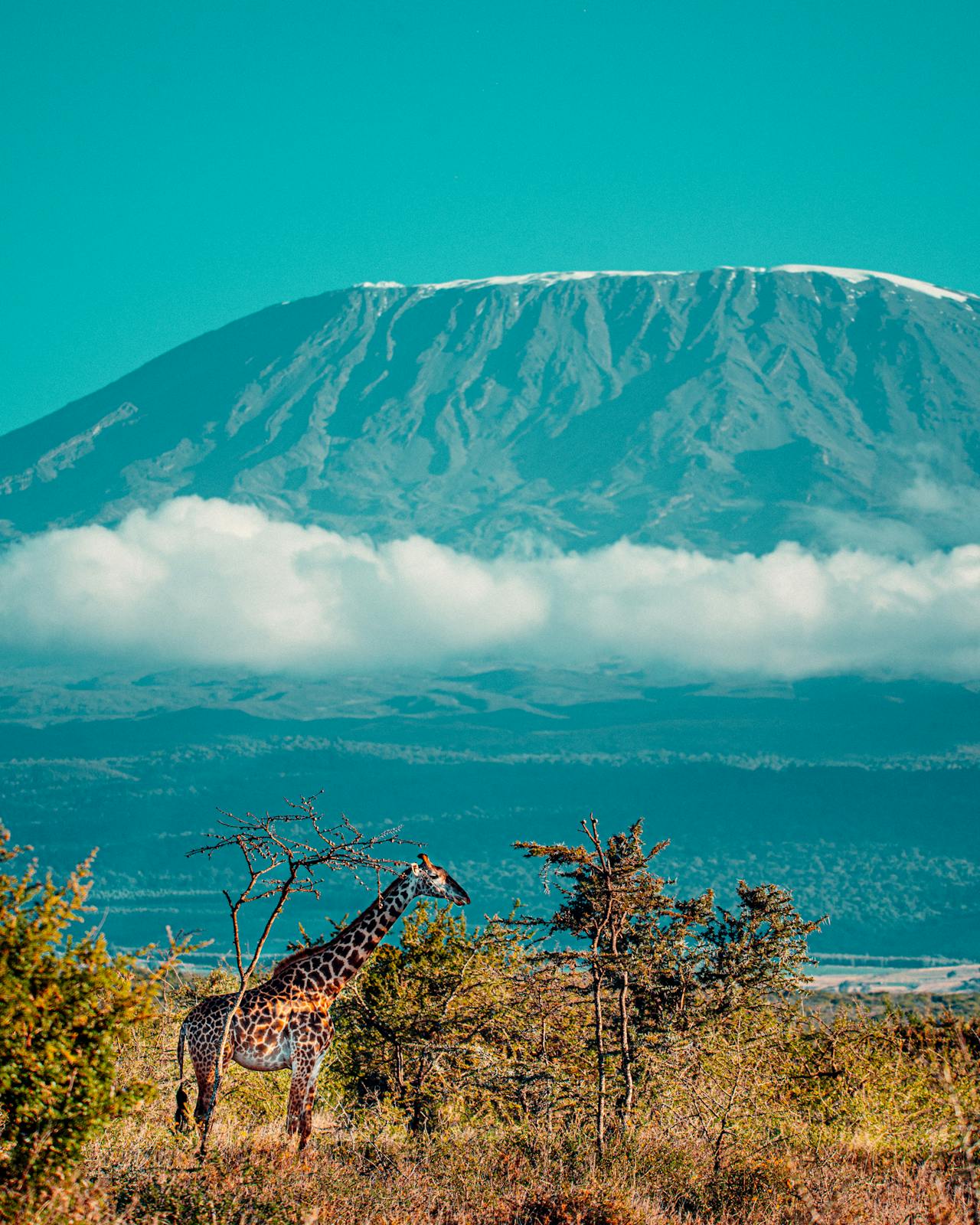 Mount Kilimanjaro