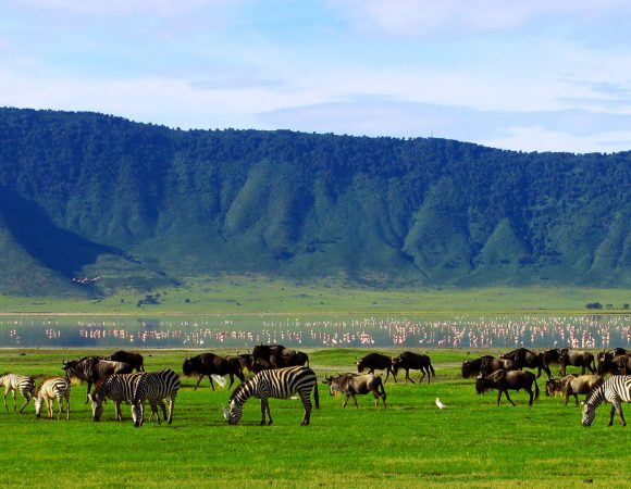 7-Day Private Camping Safari – Tanzania Northern Circuit