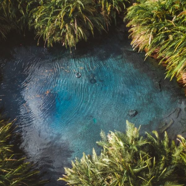 Chemka Hot Springs Swimming Experience Tanzania