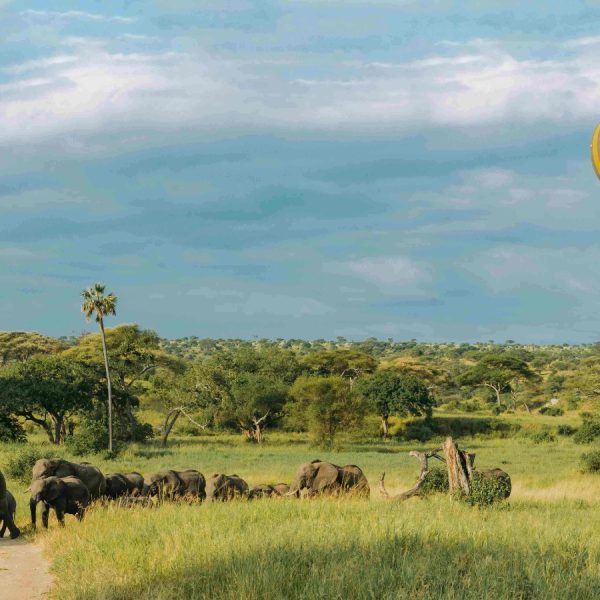 4 Days Northern Tanzania Safari Package