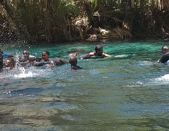 Day Trip Safari in Tanzania – The Perfect One-Day Wildlife Adventure and relaxing