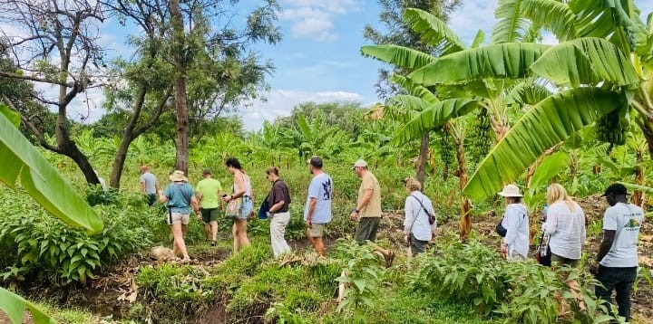 Tourists on a guided farm tour in Mto wa Mbu village, Tanzania, walking through banana plantations.