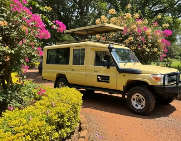 Our 4×4 Safari Jeep – Travel Tanzania in Comfort, Safety & Style